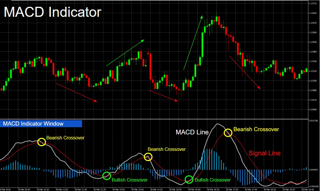 MACD بهترین اندیکاتور برای جفت ارزها