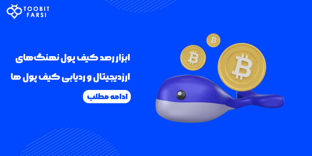 کیف پول نهنگ‌های ارز دیجیتال